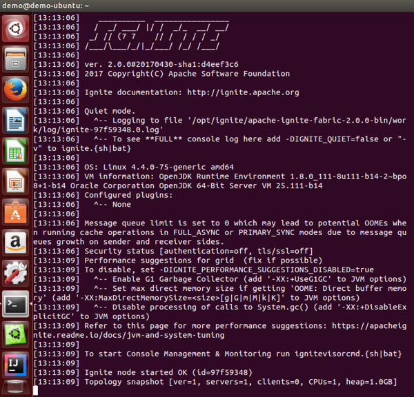 Figure 6. Apache Ignite node running in Docker