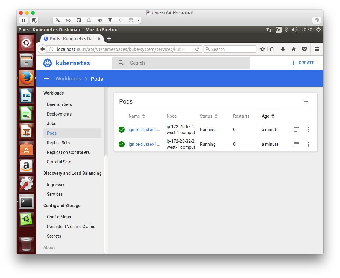 Figure 3. Apache Ignite Nodes