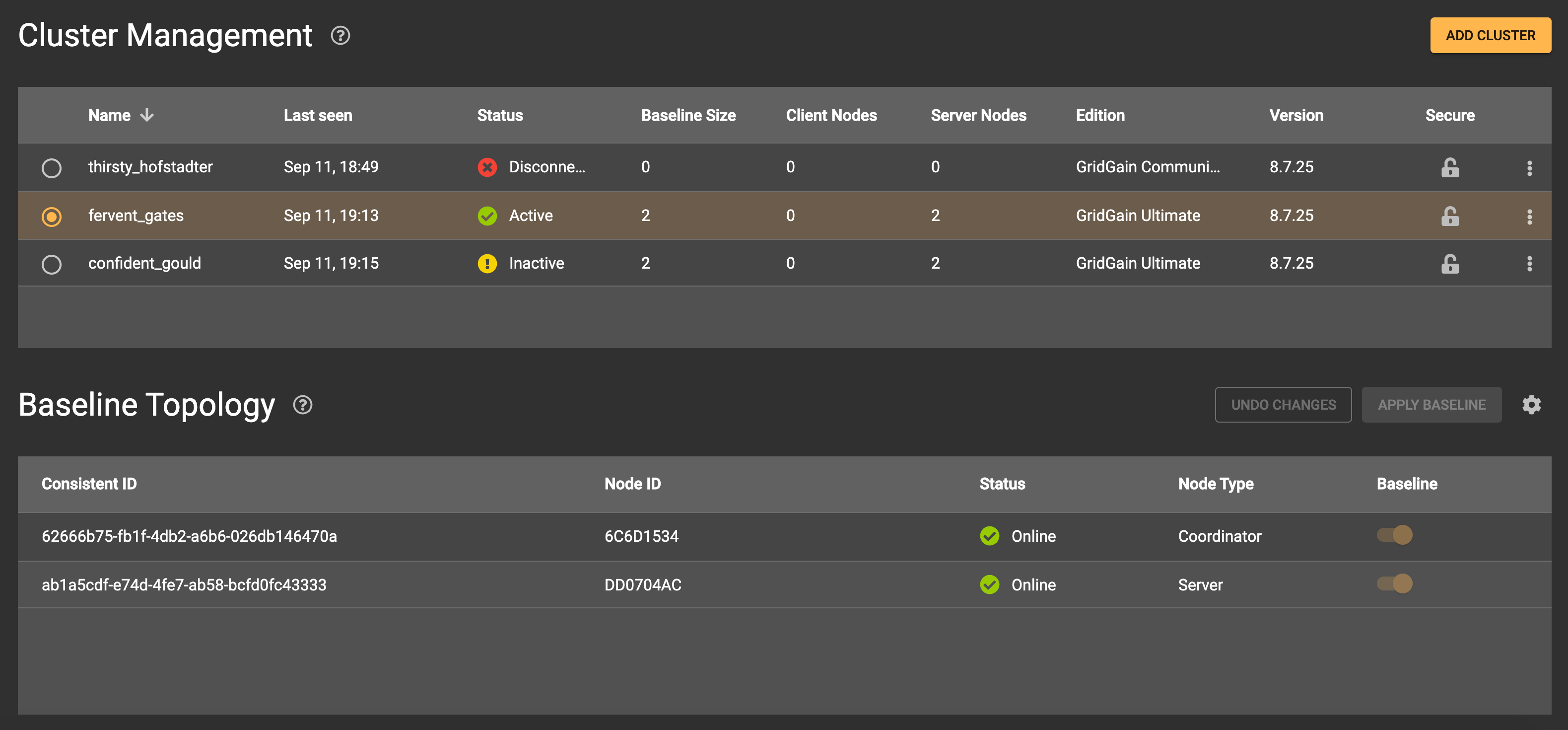 Apache Ignite Monitoring With Control Center - Cluster Management