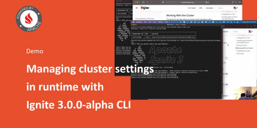 Managing cluster settings in runtime with Ignite 3.0.0-alpha CLI